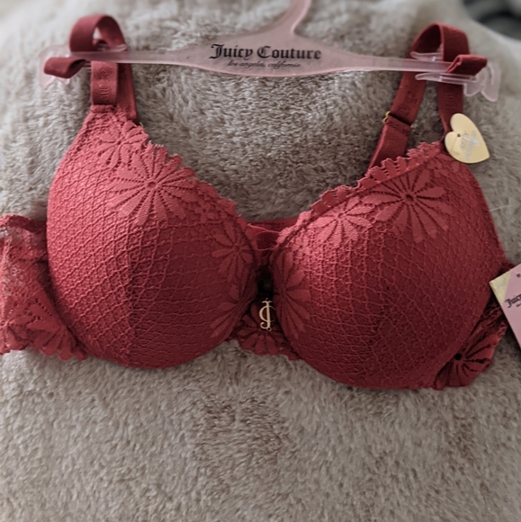 Juicy Couture Sexy Lace Push Up Bra 34B - Picture 9 of 15